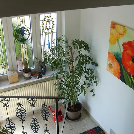 Apartment Mit Balkon Und Rheinblick