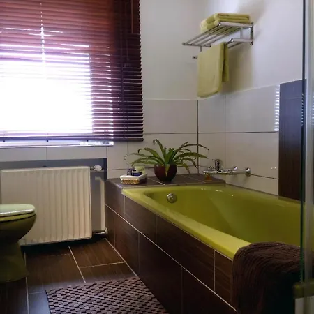 Mit Balkon Und Rheinblick Appartement