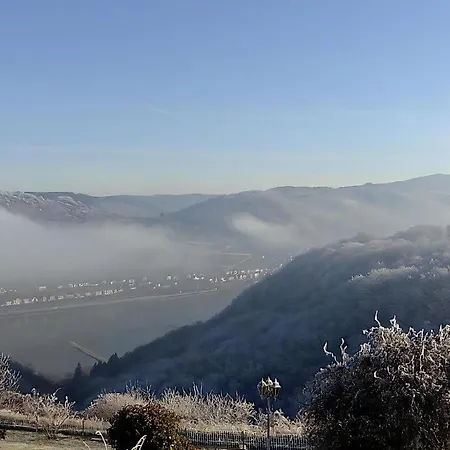 Mit Balkon Und Rheinblick