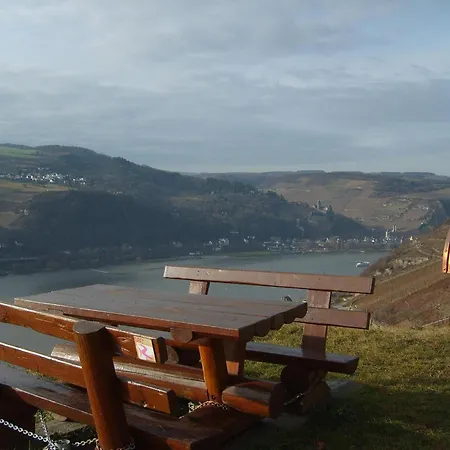 Apartment Mit Balkon Und Rheinblick *
