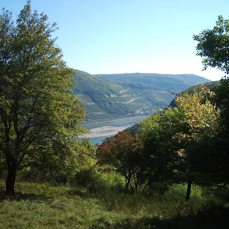 Mit Balkon Und Rheinblick Appartement *