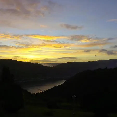 Appartement Mit Balkon Und Rheinblick *